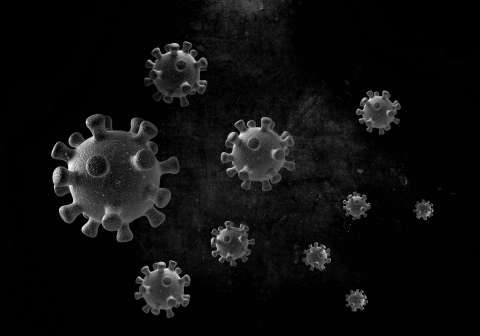 Coronavirus 1